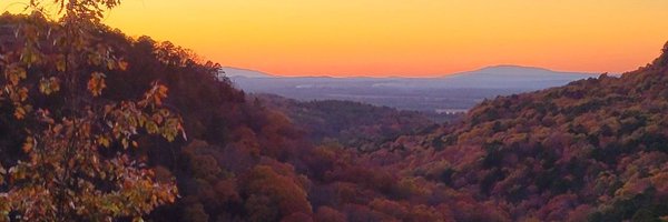 rompolyglot Profile Banner