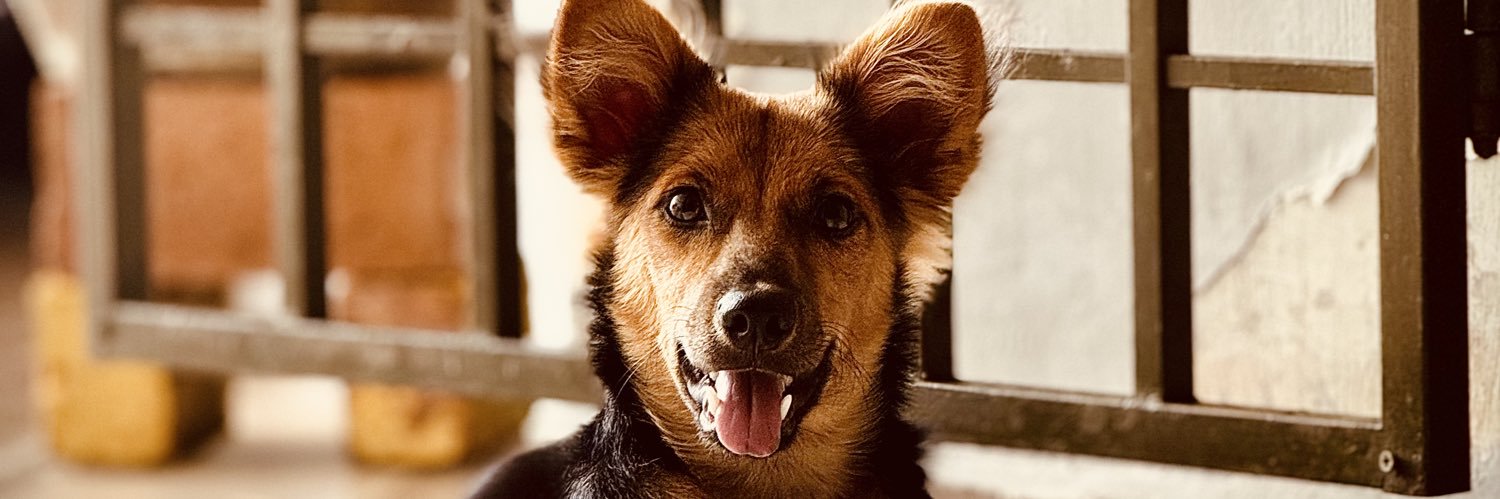 keshdhayanan's profile banner image