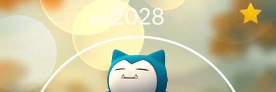neko51__'s profile banner image
