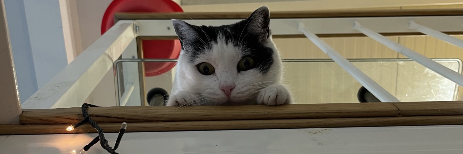 abakomh's profile banner image