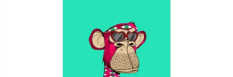 0xtorronto's profile banner image