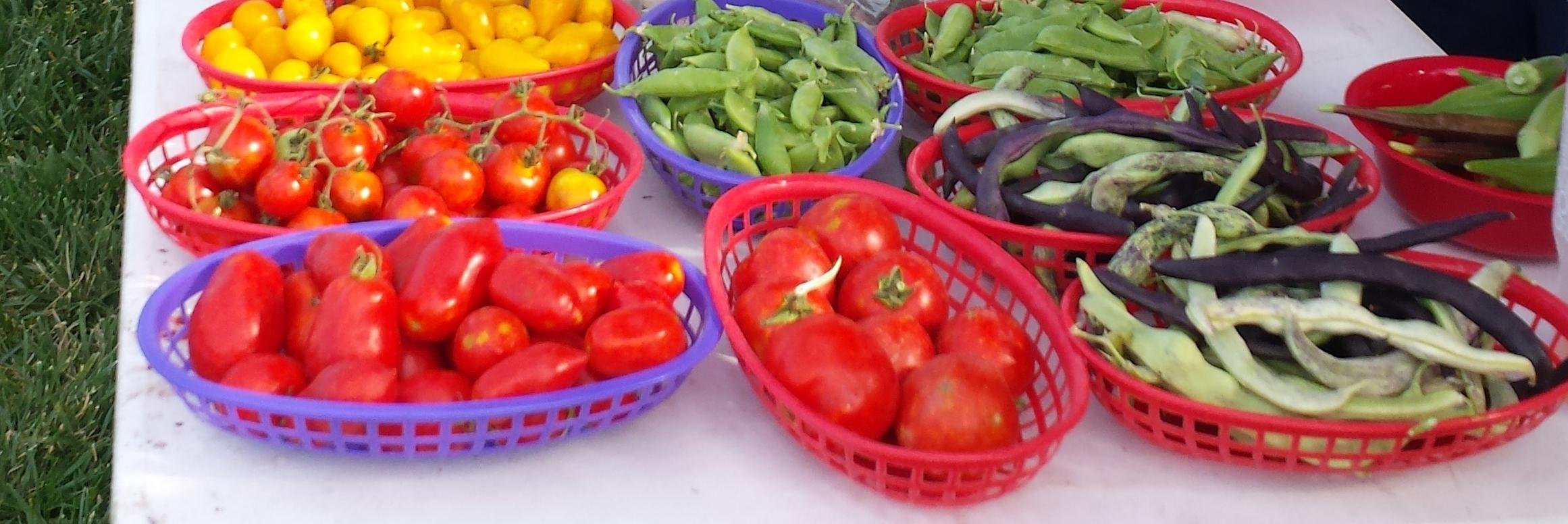RLFarmersMarket's profile banner image