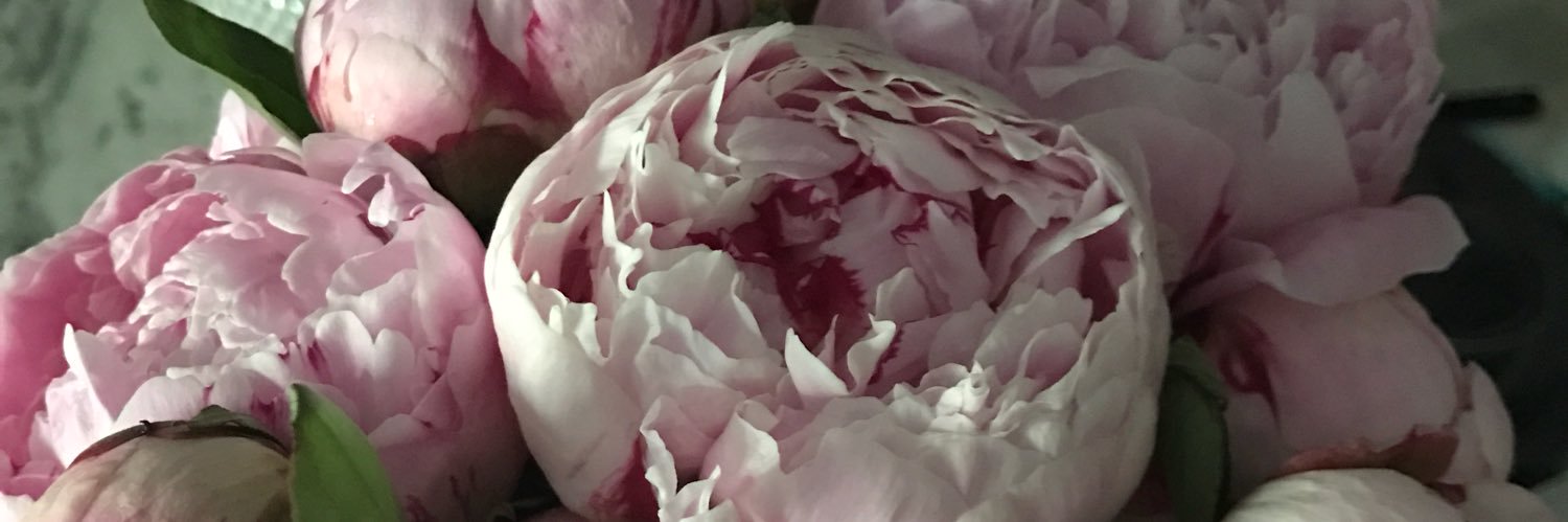 lydiaharrell's profile banner image