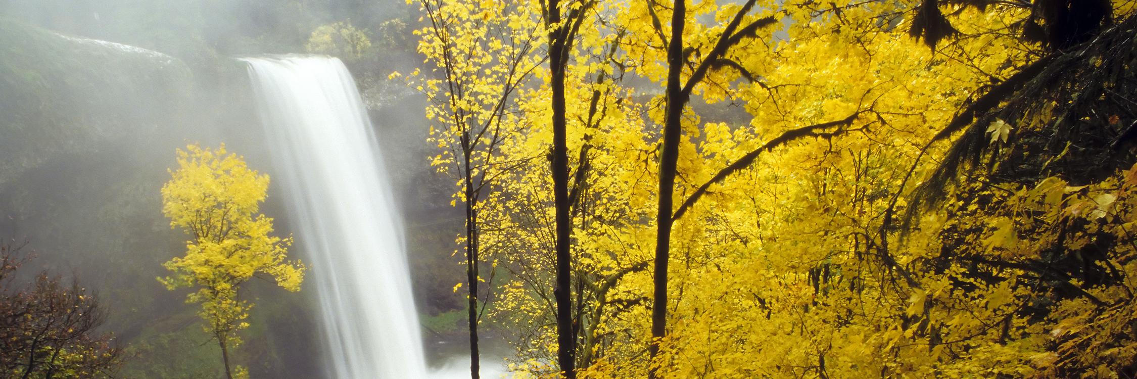 SilverFallsRec's profile banner image