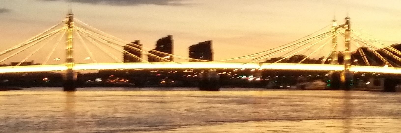 David Hodgson banner