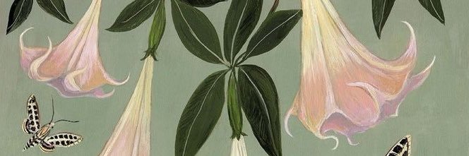 paula banner