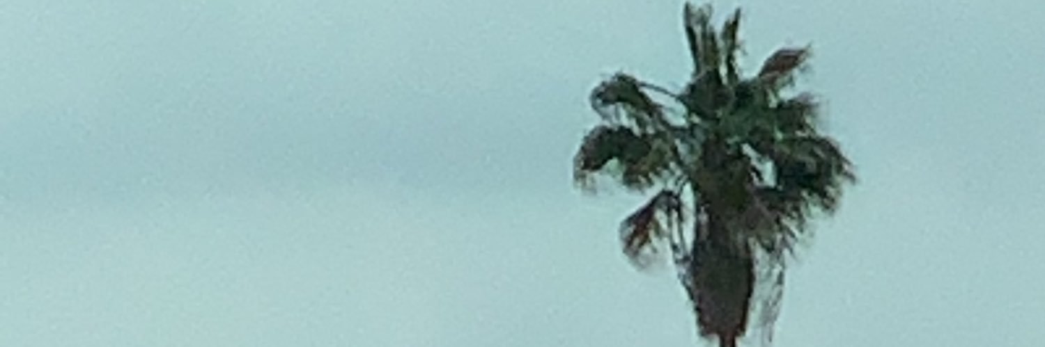 Mac 10 banner