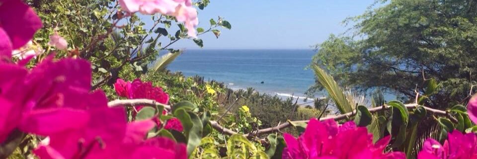 Yuningdiaz's profile banner image
