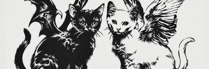 tataqueirozxb's profile banner image