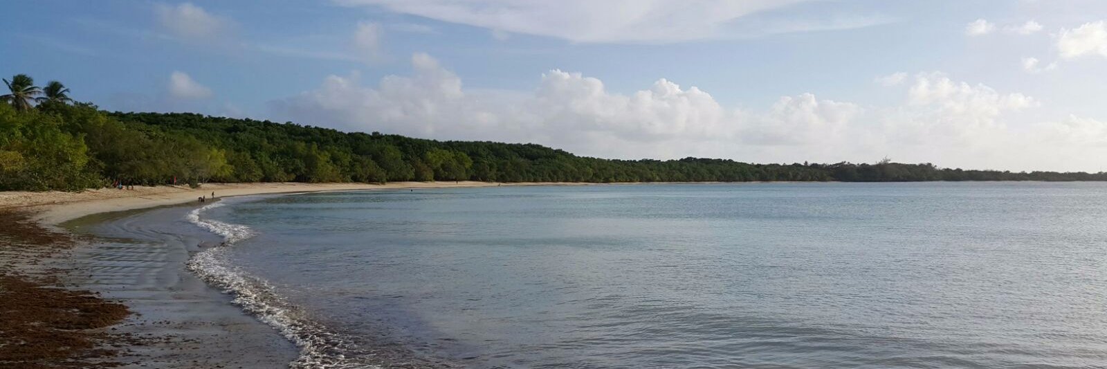 dcodrington's profile banner image