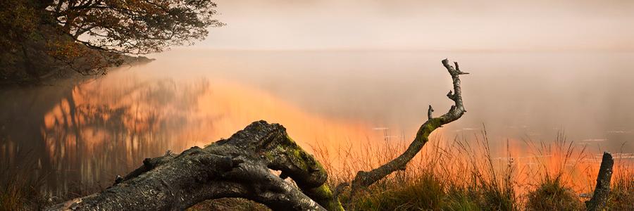 SupportingIrishMusic banner