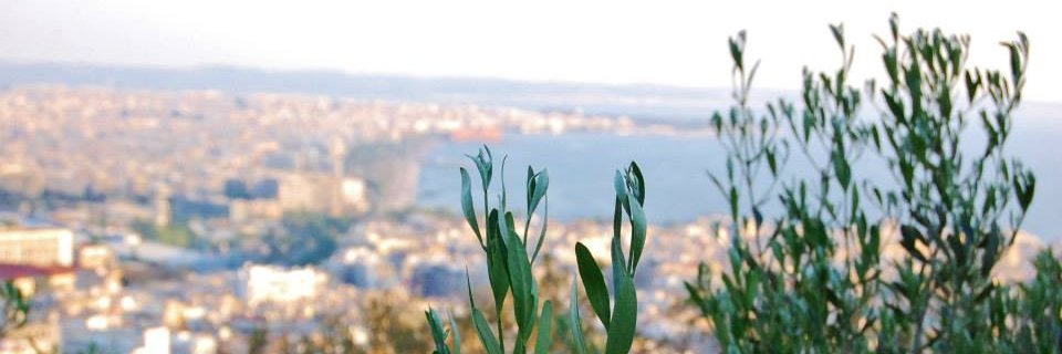 jacq_lacroix's profile banner image