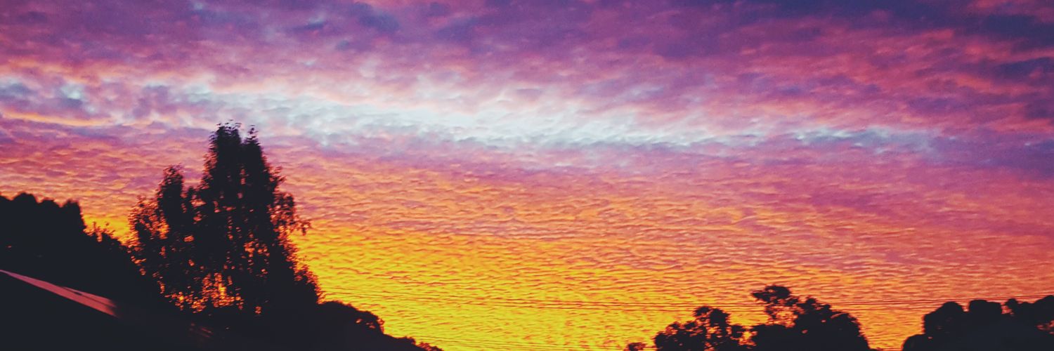 mintysnooples's profile banner image