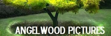 Seth M. Chitwood banner