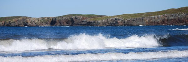 barbara45_20474 Profile Banner