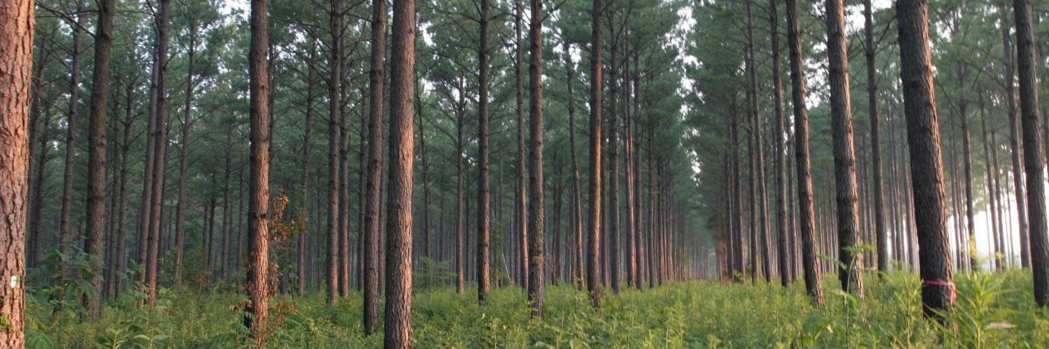 MSU Forest Resources banner