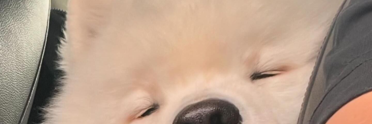 chubby111uu's profile banner image