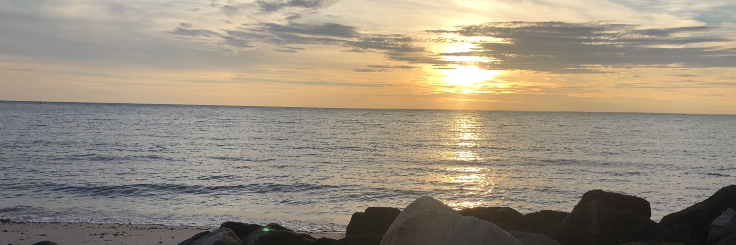 Kerry Sullivan banner