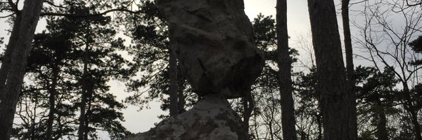 MichelliLorenzo Profile Banner