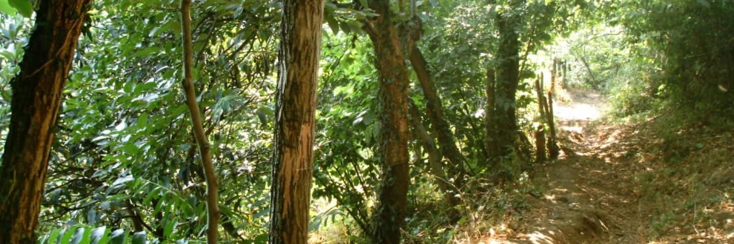 philozgur's profile banner image