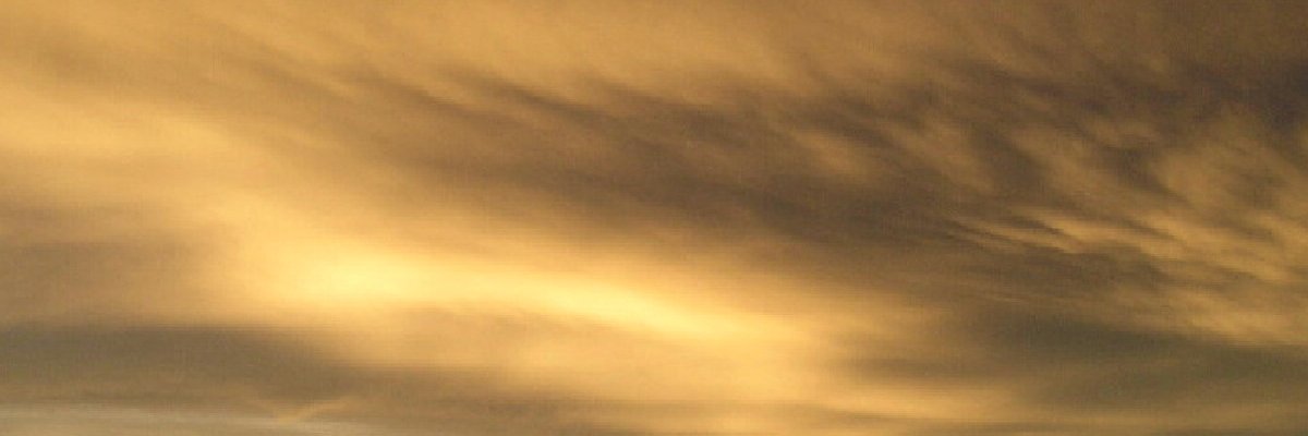 ☆人权永存 banner