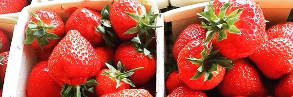 CTH322 Profile Banner