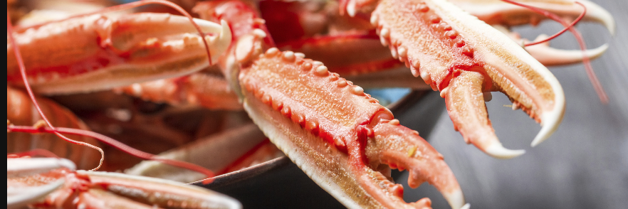FoodieSayWhat's profile banner image