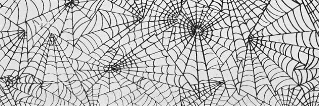 RocioMMJ's profile banner image