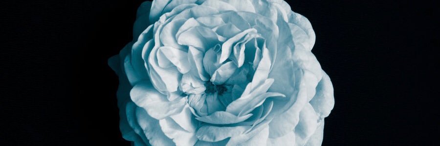 CarterComstock's profile banner image