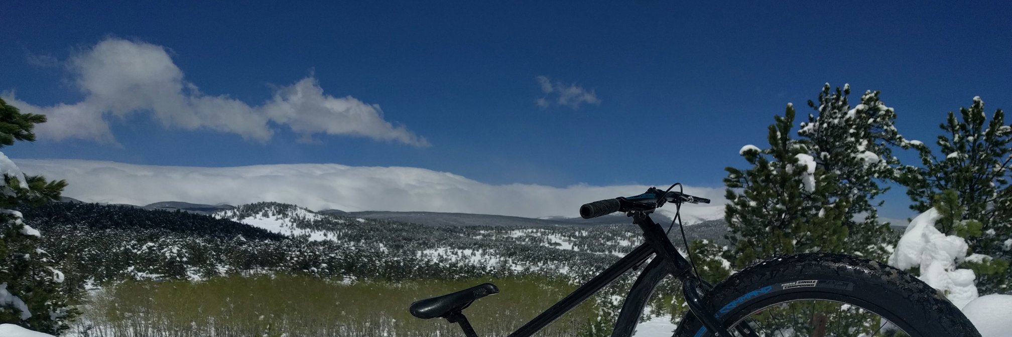 Sean_Gordon_'s profile banner image