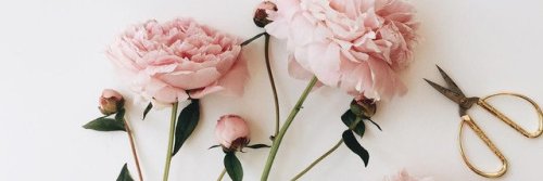 LucieneCih's profile banner image
