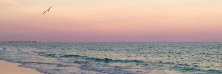 NatalieMaylinX's profile banner image