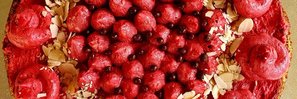 BiljkaSt Profile Banner