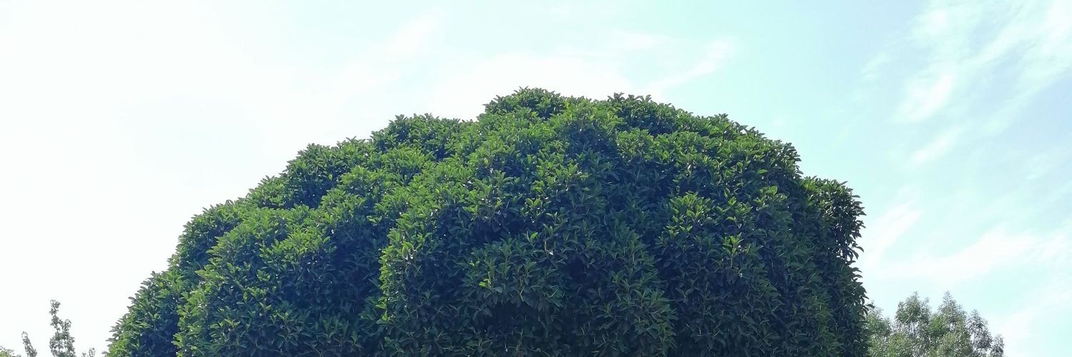 MATTAinc's profile banner image