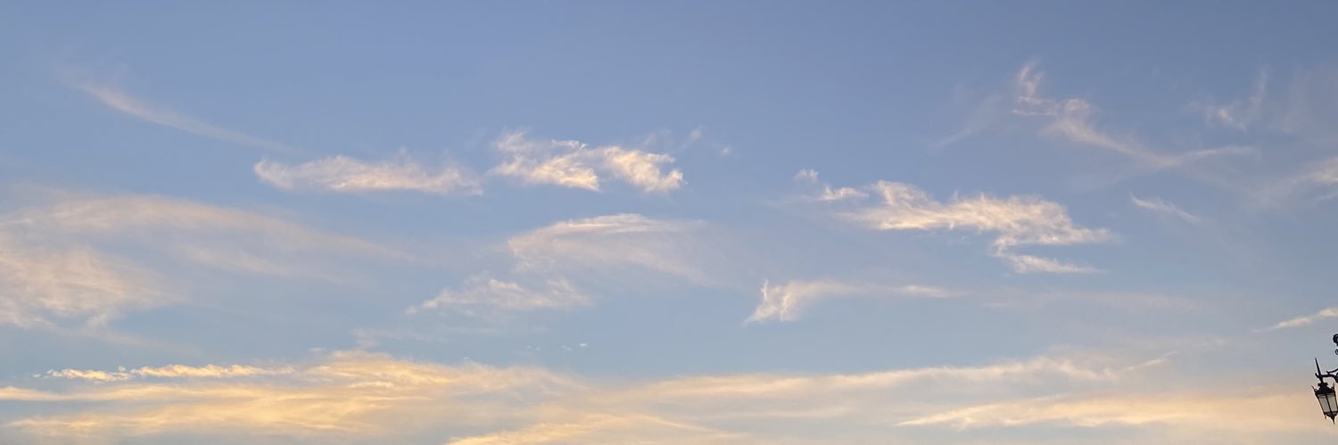 styledbymsst's profile banner image