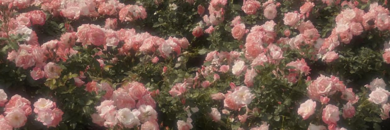 asmm_6's profile banner image