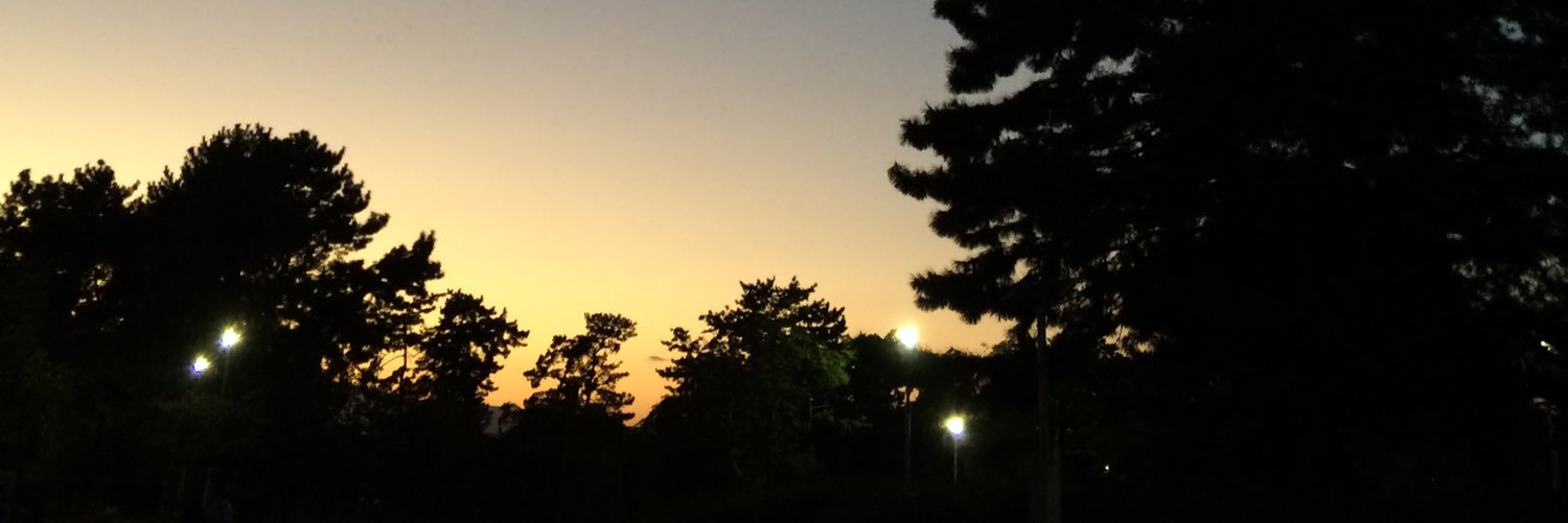 tocchannel5's profile banner image