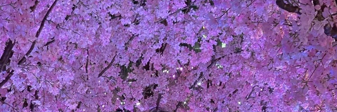 Mihh_lov's profile banner image