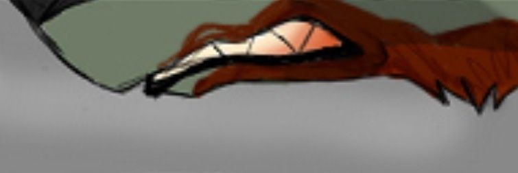 PredatoraShenzi's profile banner image