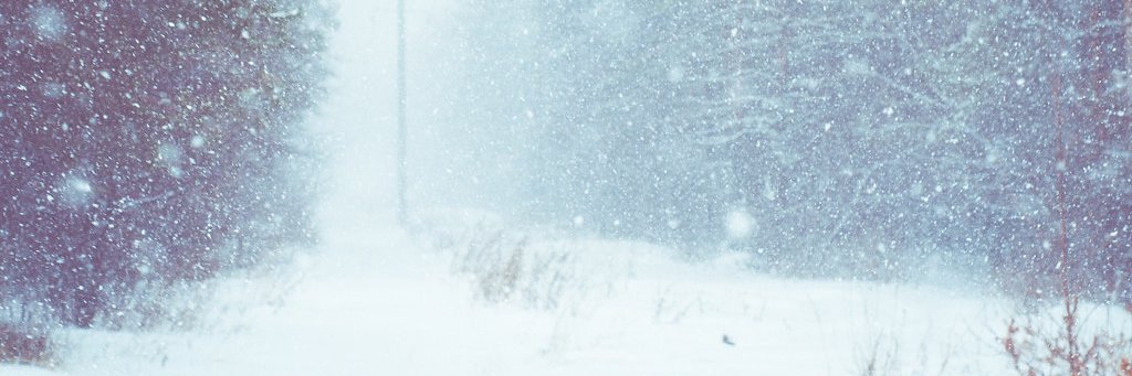 NerdyMusicks's profile banner image