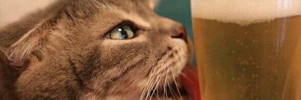 opalinha96's profile banner image