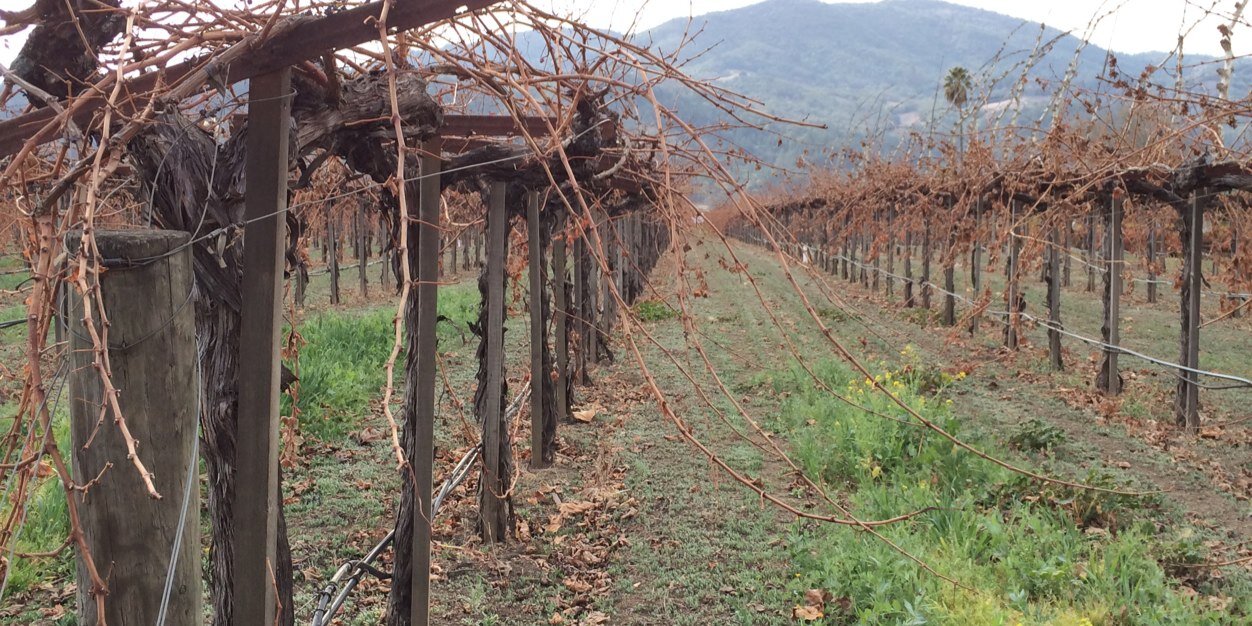 Calvin Grunewald banner