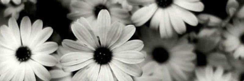 Discpic_'s profile banner image