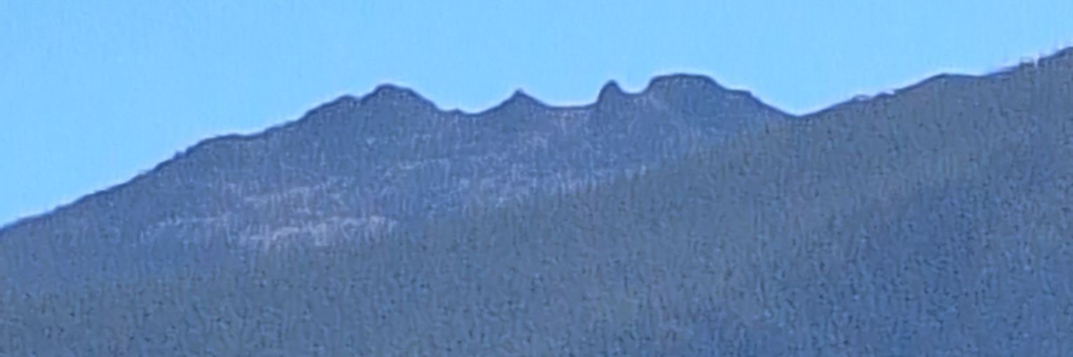 lushfly666's profile banner image