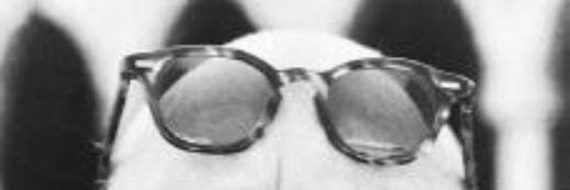 Igor_1882's profile banner image