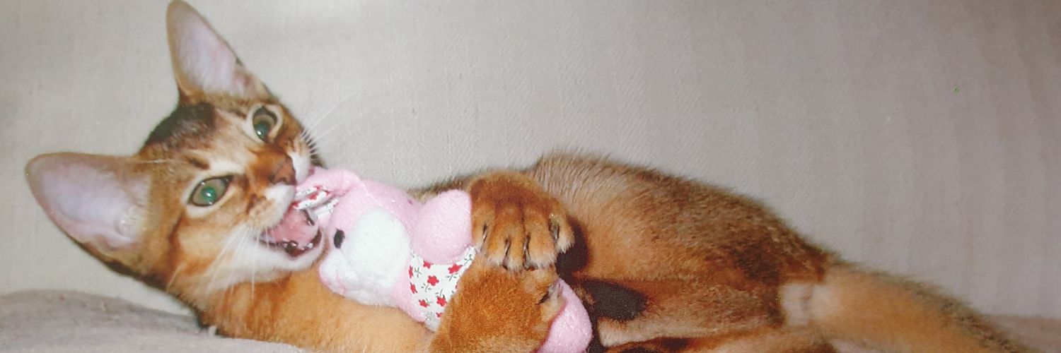 Nannie_kat's profile banner image