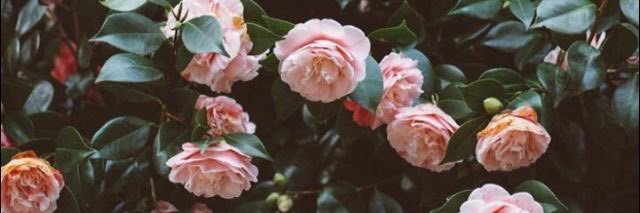 robinx04's profile banner image
