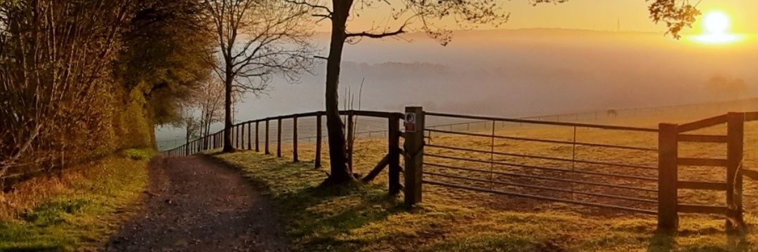 JC EARLY SUNRISES banner