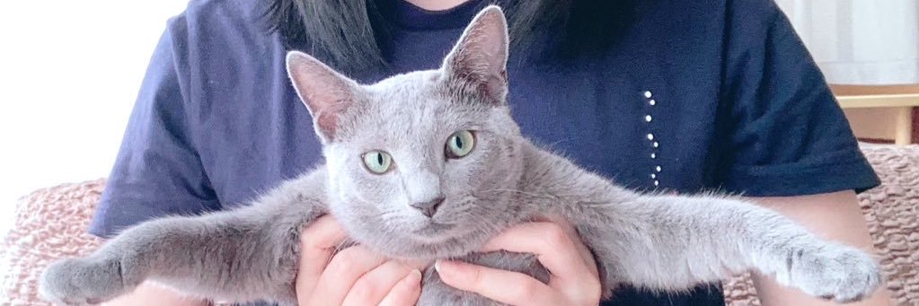 docxdoc's profile banner image