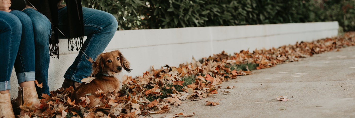 PaigeB323's profile banner image